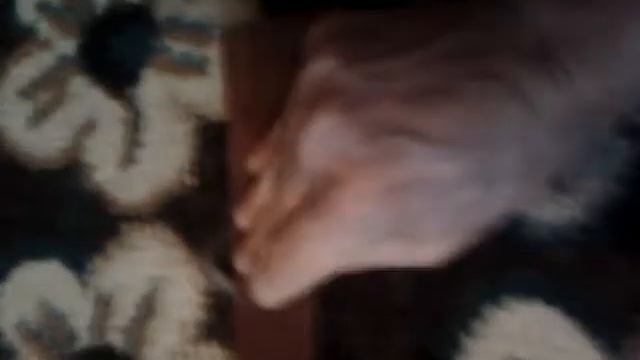 Удаление шерсти с паласа, ковра. Быстрый эффективный способ смотреть онлайн