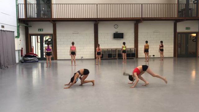 PALLCO - Contemporary Choreography, 2nd place at GDO смотреть онлайн