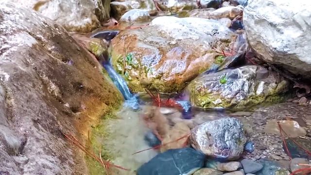 Звуки природы, лесной ручей, журчание ручья, музыка для спокойного сна слушать смотреть онлайн