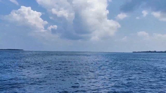 Экскурсии на Мальдивах. Акулы, черепахи, дельфины, подводный мир, необитаемые острова смотреть онлайн