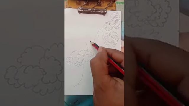 Tree sketch basic step by step смотреть онлайн