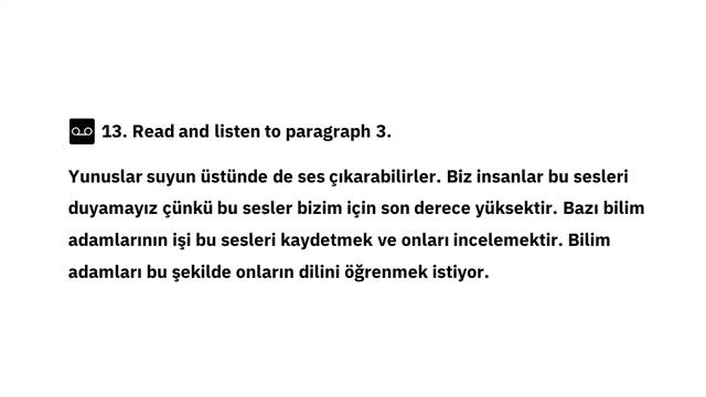 Turkish Reading A2 | Dolphins | Sample Turkish Easy Reading Lesson смотреть онлайн