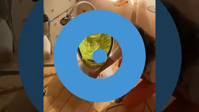 Аренда прокат Курган электронные качели смотреть онлайн
