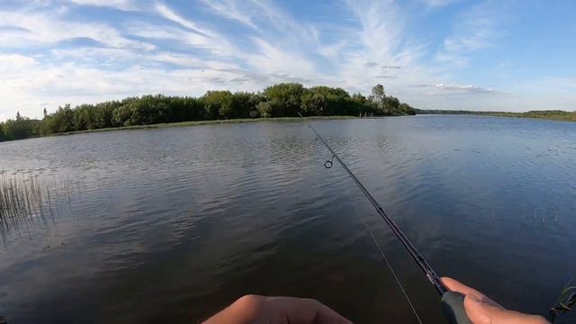 Дневники начинающего спиннингиста | Берег #GoProHero7Black смотреть онлайн