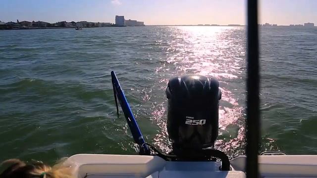 Inshore to Offshore to Bank Fishing with ROD-RUNNER Fishing Racks (7 Seas) смотреть онлайн