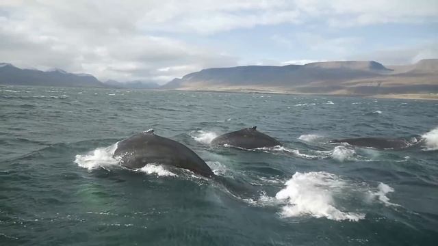 Destroy Unconscious Blockages And Negativity, 396hz Solfeggio, Positive Energy, Meditation Music