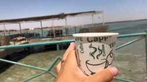 Подробный обзор моря у отеля Титаник Палас и Титаник Бич. Кому оно подойдет?! Отдых в Хургаде 2021.