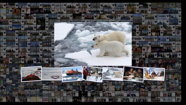 Люди, которые едут в Арктику, искушенные путешественники смотреть онлайн