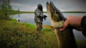 КАК НЕ КРУТИ А РЫБАЛКА УДАЛАСЬ! БОЙКИЙ ОКУНЬ НЕ ДАВАЛ СКУЧАТЬ, НА ДИКОМ ОЗЕРЕ ЯМАЛА БЫЛО КЛЁВО!