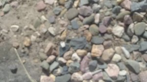 Поиски агатов, Нижегородская область.❤💎😊