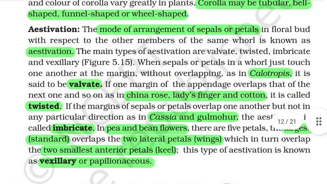 NCERT Audiobook 🎧 morphology of flowering 🌺plants 🥀 let's read NCERT 📚 смотреть онлайн