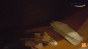 Lonicera Resort and Spa 5*. Обзор номера. Лонисера 5. Room review