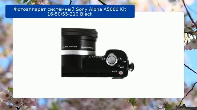 Фотоаппарат Sony Alpha A5000 Kit 16-50/55-210 Black обзор