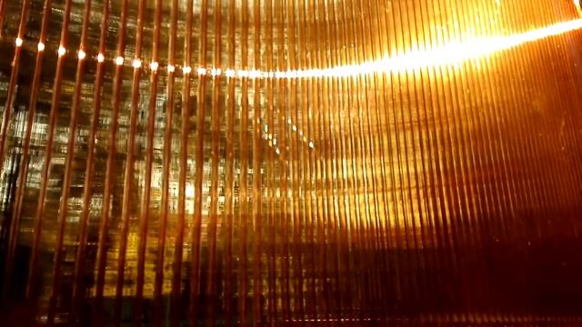 ИММУНИТЕТ при гриппе, простуде.  САМОРЕГУЛЯЦИЯ.