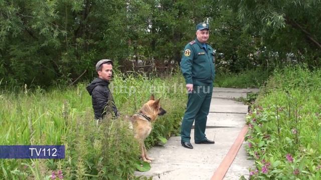 Пожар на ул Кедрова в Архангельске смотреть онлайн