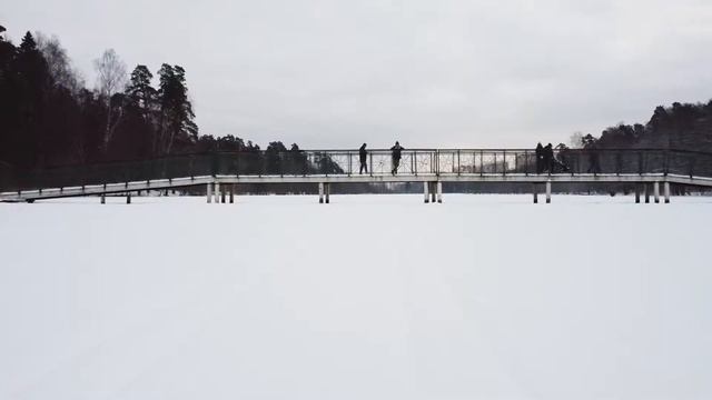 Полет в Лосином Острове. Алексеевский пруд. Mavic Mini смотреть онлайн