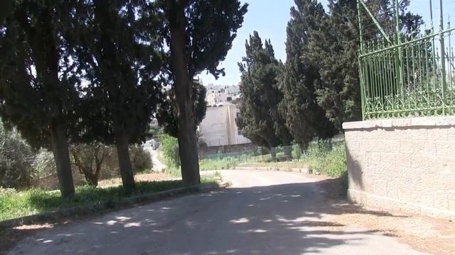 Слово у Мамврийского дуба. Святая Земля. Священник Игорь Сильченкова смотреть онлайн