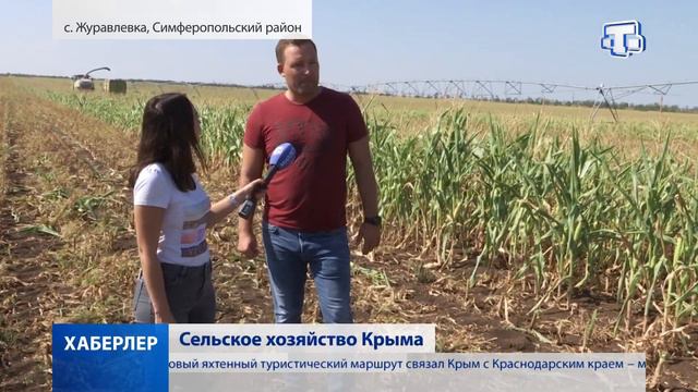 Хаберлер. (на русском языке) 02.08.19 смотреть онлайн