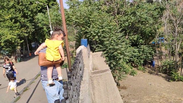 Зоопарк в Тбилиси,первое впечатление детей смотреть онлайн