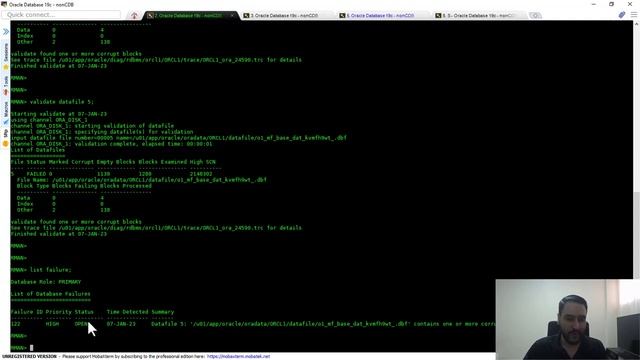 Como recuperar blocos corrompidos com o Block Media Recovery (BMR) смотреть онлайн