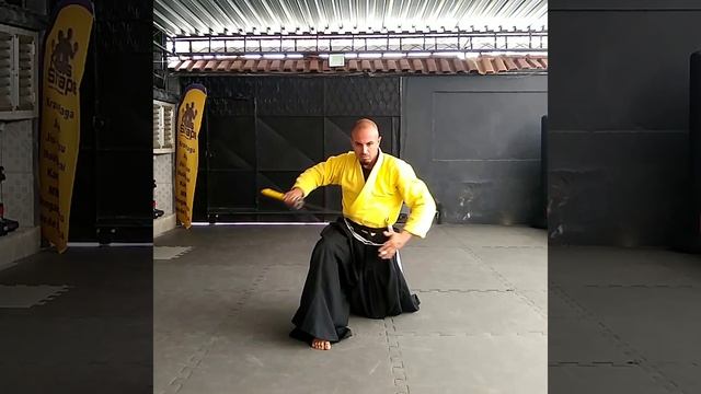 Kenjutsu Battoujutsu Sensei João Martins CHIE NO SENSHI RYU Maisshape38 (1) смотреть онлайн