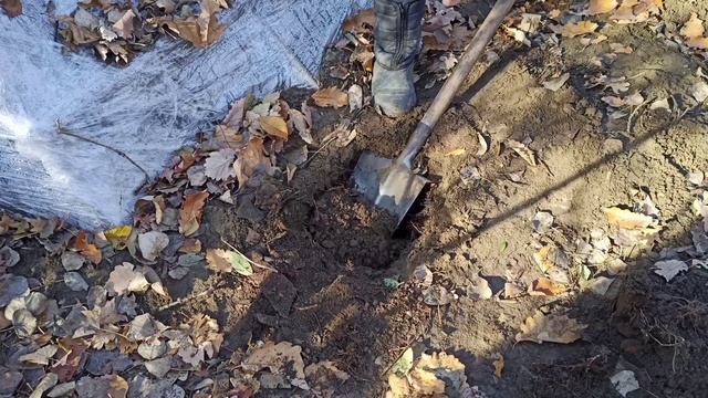 ЗЕМЛЯНКА В ЛЕСУ | ДЕЛАЮ ЗЕМЛЯНУЮ ПЕЧЬ | ДВЕРЬ-ЗАСЛОНКА В ЗЕМЛЯНКУ | 3-Я ЧАСТЬ смотреть онлайн