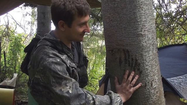 Река Шегарка , Новосибирская область . смотреть онлайн