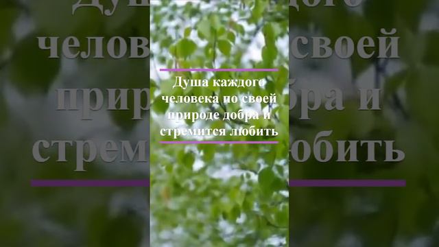 главный и единственный секрет истинного счастья.... смотреть онлайн