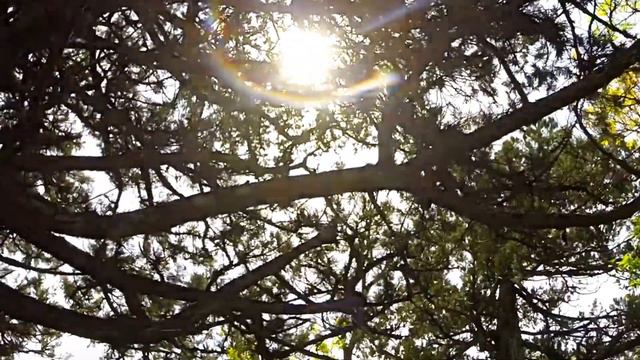 Поход по живописным местам Утриша. смотреть онлайн