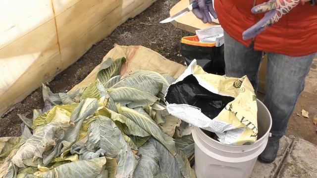 Удобрение из пищевых отходов. смотреть онлайн