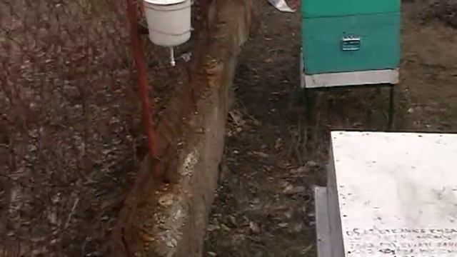 Деревянный улей его недостатки. смотреть онлайн