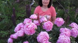 Пион Александр Флеминг,июнь 2019.