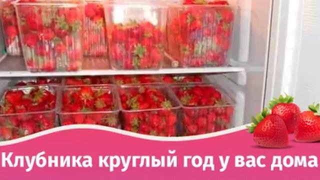 Клубника круглый год у вас дома смотреть онлайн