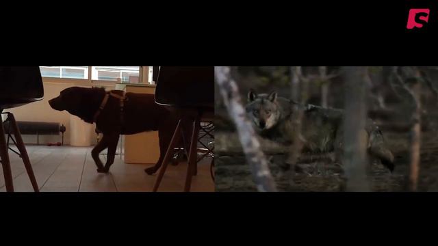 SPICEE NACERI : PARODIE UNE SECONDE CHANCE #SPICEEOFF смотреть онлайн