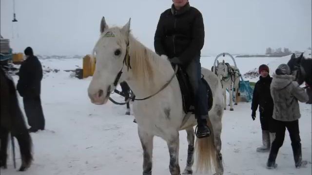 Мороз и солнце... Классическая русская зима (по А.С. Пушкину). смотреть онлайн