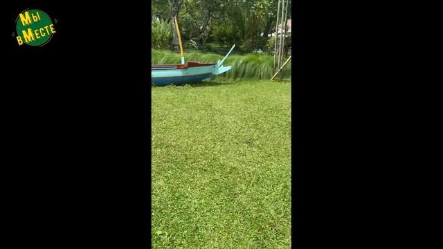 ЛУЧШИЙ СЕМЕЙНЫЙ ПЛЯЖНЫЙ КЛУБ БАЛИ /САНУР /FAMILY BEACH CLUB/ SANUR /BALI/TRAVEL VLOG 2023/