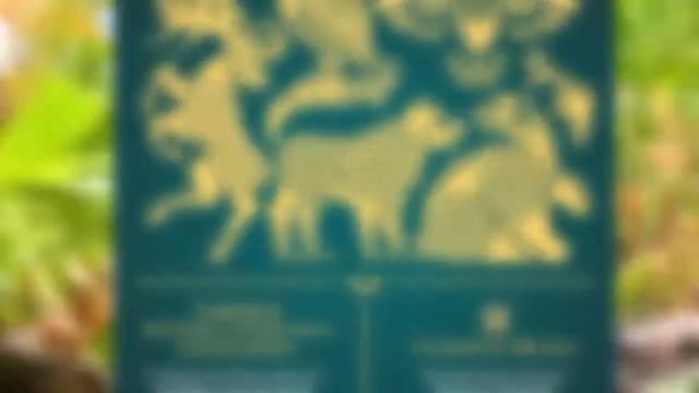 Анастасия Филиппова. Алтайский заповедник. 2022 смотреть онлайн