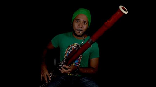 Overworld | Main Theme Bassoon Cover - The Legend of Zelda смотреть онлайн