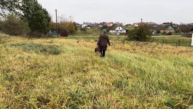 Деревенский влог 22.10.2023 Собираем грибы и другие дары. Время с семьей?Размаўляем на трасянцы смотреть онлайн
