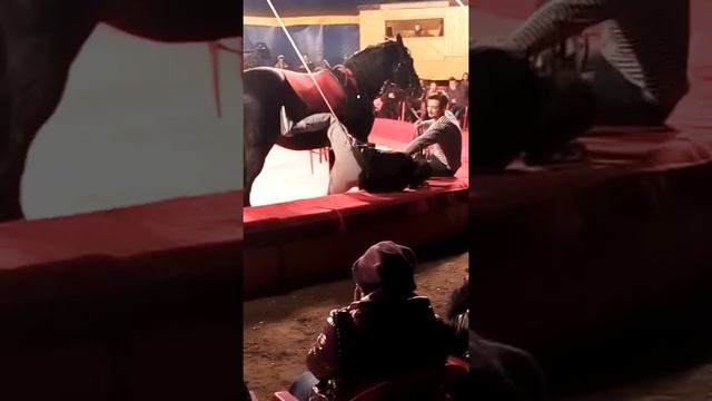 пьяный мужик в цирке смотреть онлайн