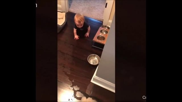 Смех до слез. Видео приколы. Смешное видео 2022. Ржака. Поржать смотреть онлайн