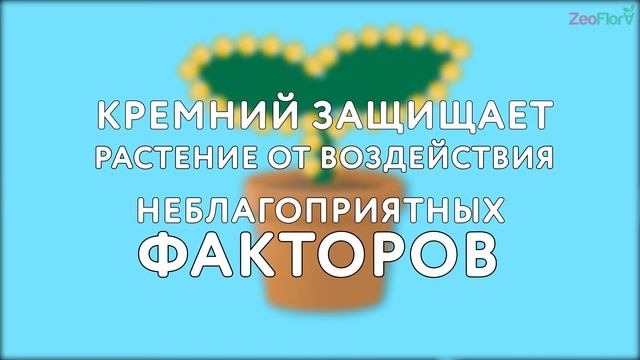 Новинка! Природный почвоулучшитель ZeoFlora для комнатных и балконных растений смотреть онлайн