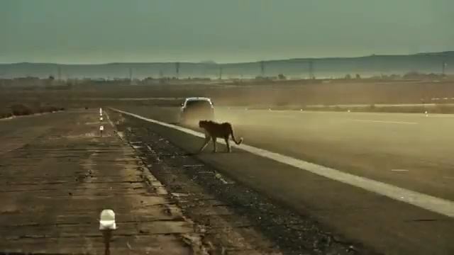 Познаём Hyundai