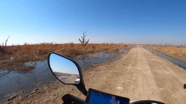 An Eerie Swamp In Botswana [S5 - Eps. 68].