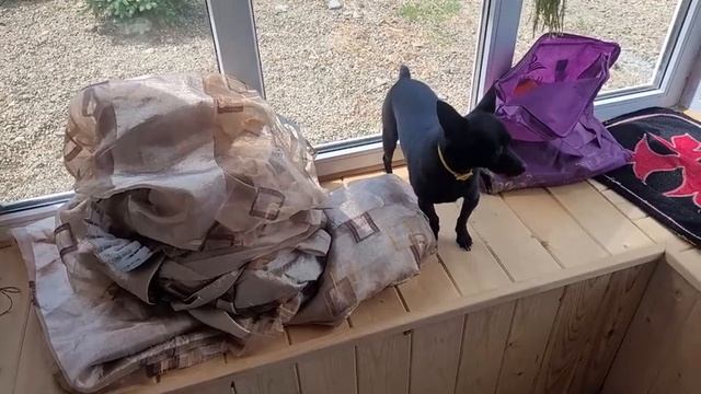 От радости чуть дом не разрушила \ Повесила новый тюль \ На Лизу жалуются смотреть онлайн