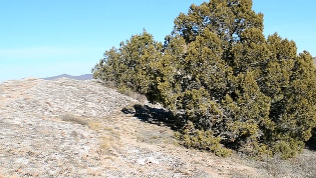 DSC_1262 смотреть онлайн