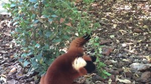 BioPark, Valencia, Spain, October, 2017