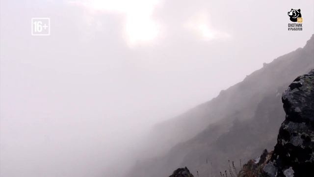 Анонс. Горная охота смотреть онлайн