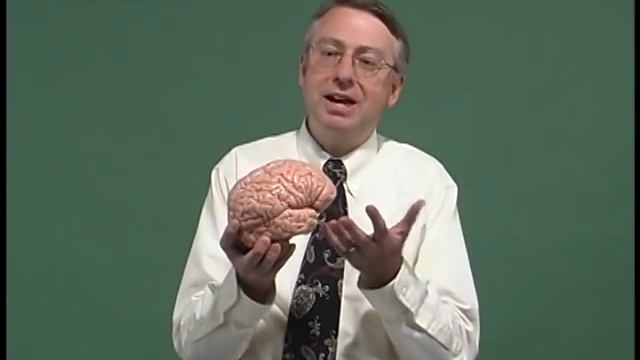 NeuroLogic Exam Videos : Introduction смотреть онлайн