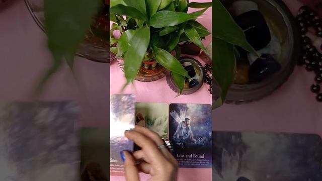 oracle fairies ♥️past present future #shortvideo #oracle fairies #hindi tarot #time less reading смотреть онлайн